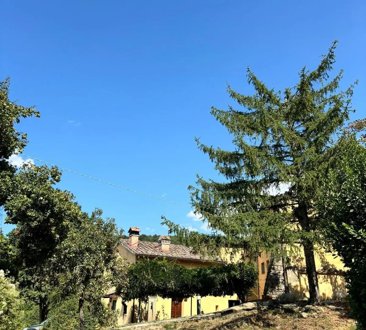 Chianti Classsico - Le Colonne Borselli