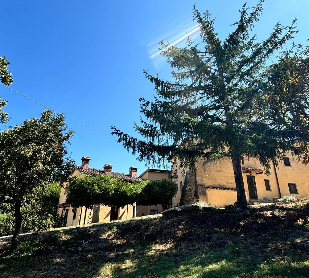 Chianti Classsico - Le Colonne Borselli 0*,  Italy