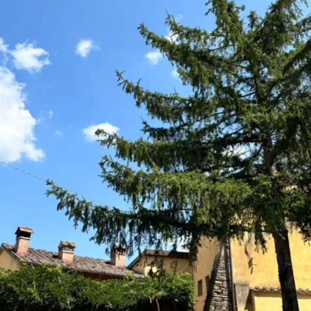 Chianti Classsico - Le Colonne Borselli 0*,  Italy