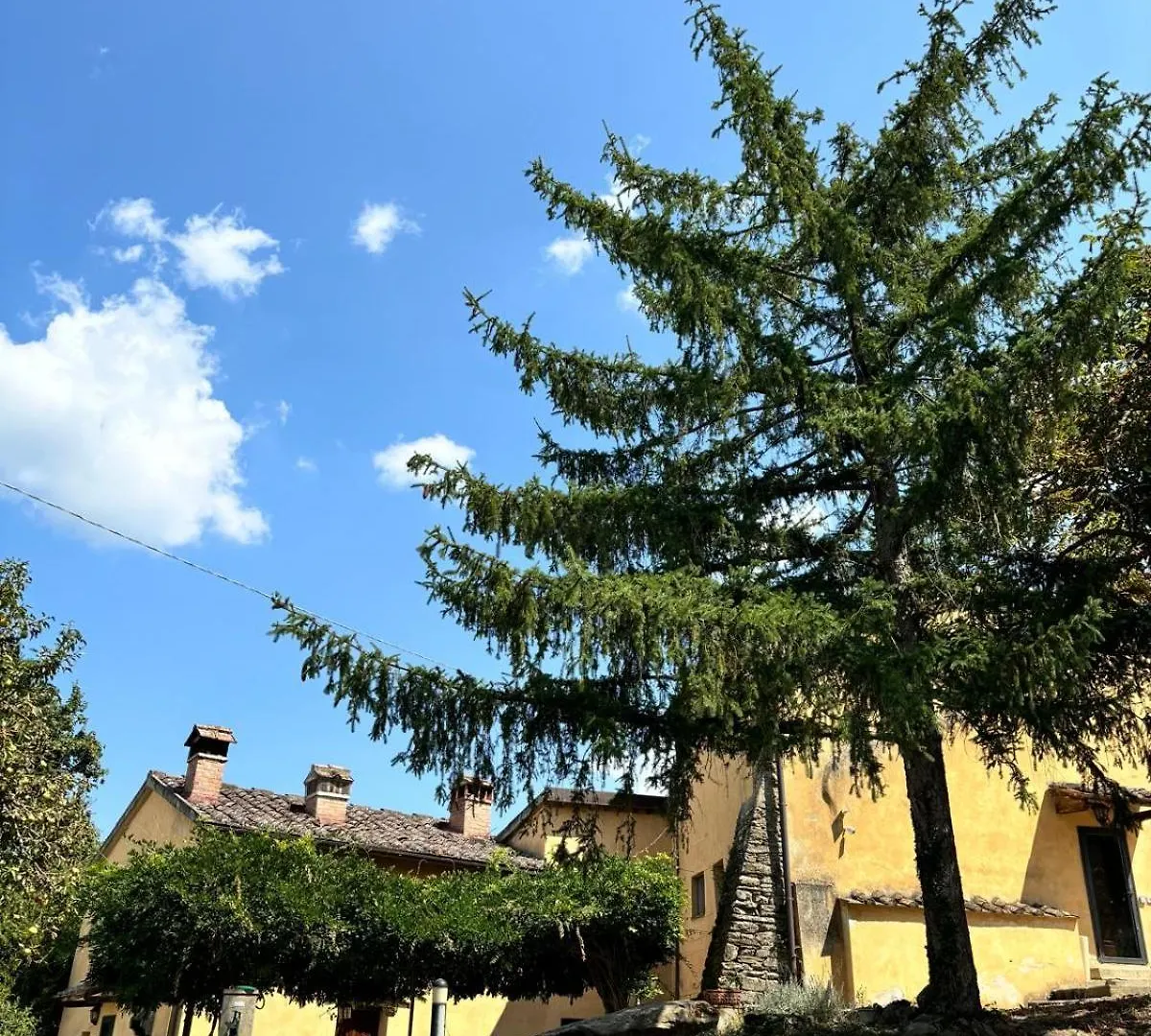 Chianti Classsico - Le Colonne Borselli Holiday home