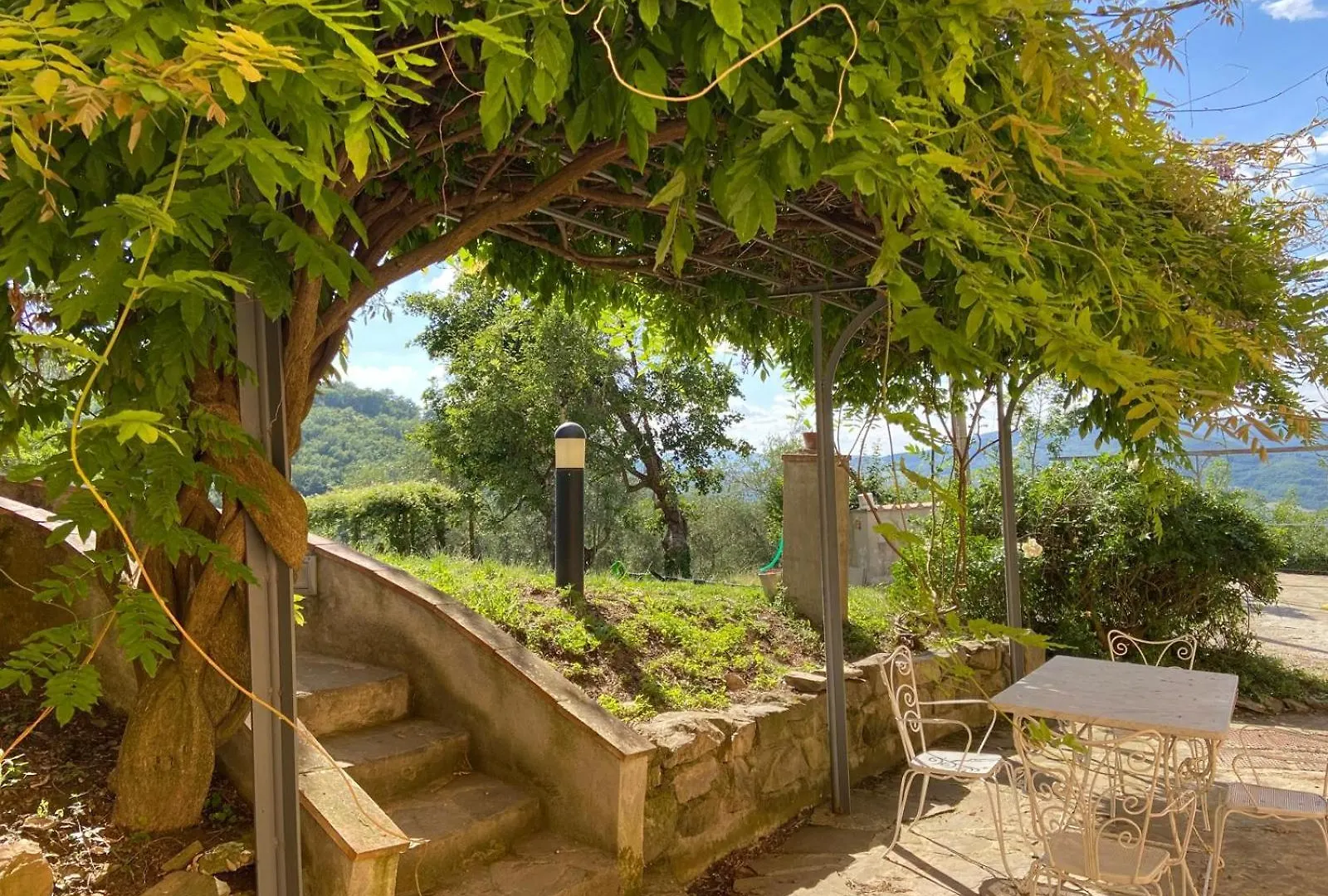 Chianti Classsico - Le Colonne Borselli Italy